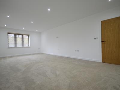 Picture 24